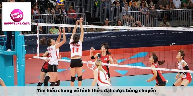 Giới thiệu đôi điều về cá cược bóng chuyền